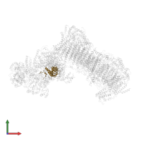 NADH:ubiquinone oxidoreductase 30kDa subunit domain-containing protein in PDB entry 6rfq, assembly 1, front view.