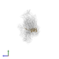 NADH:ubiquinone oxidoreductase 30kDa subunit domain-containing protein in PDB entry 6rfq, assembly 1, side view.