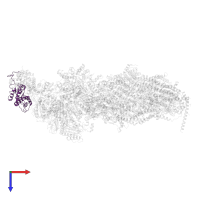 YALI0D00737p in PDB entry 6rfq, assembly 1, top view.