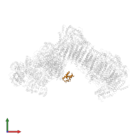 Acyl carrier protein in PDB entry 6rfs, assembly 1, front view.