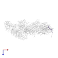 Subunit NUVM of NADH:Ubiquinone Oxidoreductase (Complex I) in PDB entry 6rfs, assembly 1, top view.