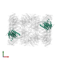 Proteasome subunit alpha type-6 in PDB entry 6rgq, assembly 1, front view.
