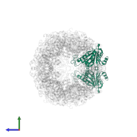 Proteasome subunit alpha type-6 in PDB entry 6rgq, assembly 1, side view.