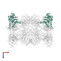 Proteasome subunit alpha type-6 in PDB entry 6rgq, assembly 1, top view.