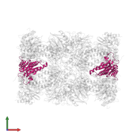 Proteasome subunit alpha type-7 in PDB entry 6rgq, assembly 1, front view.