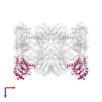 Proteasome subunit alpha type-7 in PDB entry 6rgq, assembly 1, top view.