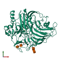 Monomeric assembly 1 of PDB entry 6rho coloured by chemically distinct molecules, front view.