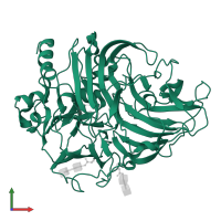 laccase in PDB entry 6rho, assembly 1, front view.