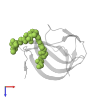 (2~{R})-2-[[(2~{S})-2-[[(4~{R})-5-azanyl-4-[[(2~{S})-2-azanylpropanoyl]amino]-5-oxidanylidene-pentanoyl]amino]-6-[2-[2-[2-[2-(2-azanylethanoylamino)ethanoylamino]ethanoylamino]ethanoylamino]ethanoylamino]hexanoyl]amino]propanoic acid in PDB entry 6rje, assembly 1, top view.