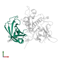 Dipeptidyl peptidase 1 exclusion domain chain in PDB entry 6rni, assembly 1, front view.