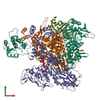 PDB entry 6rr7 coloured by chain, front view.