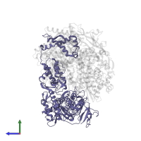 Polymerase basic protein 2 in PDB entry 6rr7, assembly 1, side view.