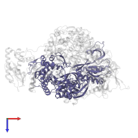 Polymerase basic protein 2 in PDB entry 6rr7, assembly 1, top view.
