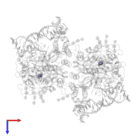 ZINC ION in PDB entry 6rti, assembly 1, top view.