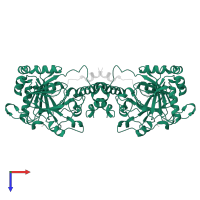 Hypoxia-inducible factor 1-alpha inhibitor in PDB entry 6ruj, assembly 1, top view.