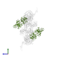 Complement factor B Bb fragment in PDB entry 6rur, assembly 1, side view.