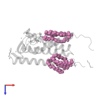 (2R)-2,3-dihydroxypropyl (9Z)-octadec-9-enoate in PDB entry 6ryp, assembly 1, top view.