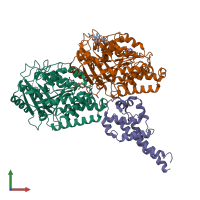 PDB entry 6rzb coloured by chain, front view.