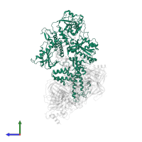 DNA polymerase delta catalytic subunit in PDB entry 6s1n, assembly 1, side view.