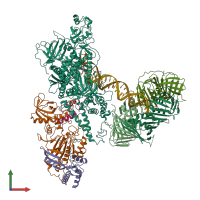 PDB entry 6s1o coloured by chain, front view.
