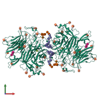 Homo dimeric assembly 1 of PDB entry 6s2h coloured by chemically distinct molecules, front view.