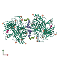 Homo dimeric assembly 2 of PDB entry 6s2h coloured by chemically distinct molecules, front view.