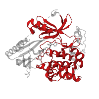 The deposited structure of PDB entry 6s9w contains 1 copy of Pfam domain PF00069 (Protein kinase domain) in RAC-alpha serine/threonine-protein kinase. Showing 1 copy in chain A.