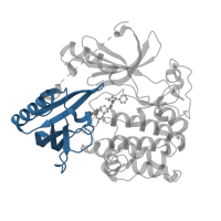 The deposited structure of PDB entry 6s9w contains 1 copy of Pfam domain PF00169 (PH domain) in RAC-alpha serine/threonine-protein kinase. Showing 1 copy in chain A.