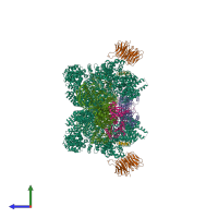 Hetero dodecameric assembly 1 of PDB entry 6sb0 coloured by chemically distinct molecules, side view.