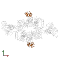 Target of rapamycin complex subunit LST8 in PDB entry 6sb0, assembly 1, front view.
