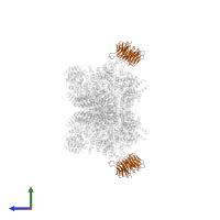 Target of rapamycin complex subunit LST8 in PDB entry 6sb0, assembly 1, side view.