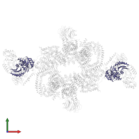 Ras-related GTP-binding protein A in PDB entry 6sb0, assembly 1, front view.