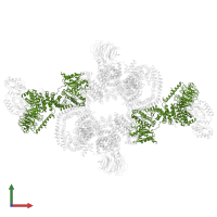 Regulatory-associated protein of mTOR in PDB entry 6sb0, assembly 1, front view.