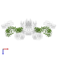 Regulatory-associated protein of mTOR in PDB entry 6sb0, assembly 1, top view.