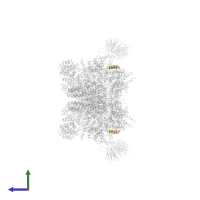 Proline-rich AKT1 substrate 1 in PDB entry 6sb0, assembly 1, side view.