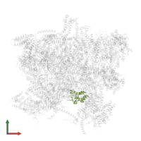 mt-SAF15 in PDB entry 6sg9, assembly 1, front view.