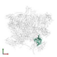 mt-SAF16 in PDB entry 6sg9, assembly 1, front view.