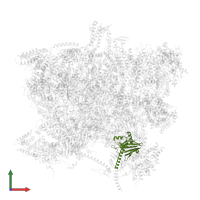 mt-SAF25 in PDB entry 6sg9, assembly 1, front view.