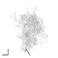 UNK-a in PDB entry 6sg9, assembly 1, side view.