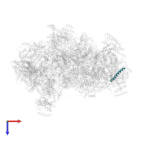 UNK-i in PDB entry 6sg9, assembly 1, top view.