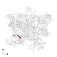 Ribosomal protein S24/S35 mitochondrial conserved domain-containing protein in PDB entry 6sg9, assembly 1, front view.