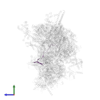 uS3m in PDB entry 6sg9, assembly 1, side view.