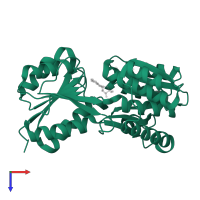 Basic membrane protein D in PDB entry 6shu, assembly 1, top view.