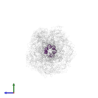 Cognate target RNA in PDB entry 6sic, assembly 1, side view.