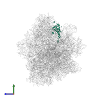 Small ribosomal subunit protein uS7 in PDB entry 6skf, assembly 1, side view.