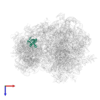 Small ribosomal subunit protein uS7 in PDB entry 6skf, assembly 1, top view.