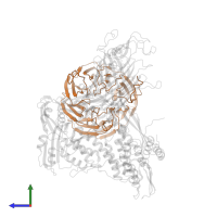 Outer membrane protein assembly factor BamB in PDB entry 6sn2, assembly 1, side view.