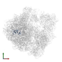 Large ribosomal subunit protein uL13 in PDB entry 6spf, assembly 1, front view.