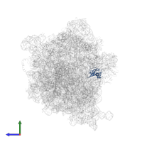 Large ribosomal subunit protein uL13 in PDB entry 6spf, assembly 1, side view.