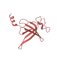 The deposited structure of PDB entry 6spg contains 1 copy of Pfam domain PF01245 (Ribosomal protein L19) in Large ribosomal subunit protein bL19. Showing 1 copy in chain KA [auth P].